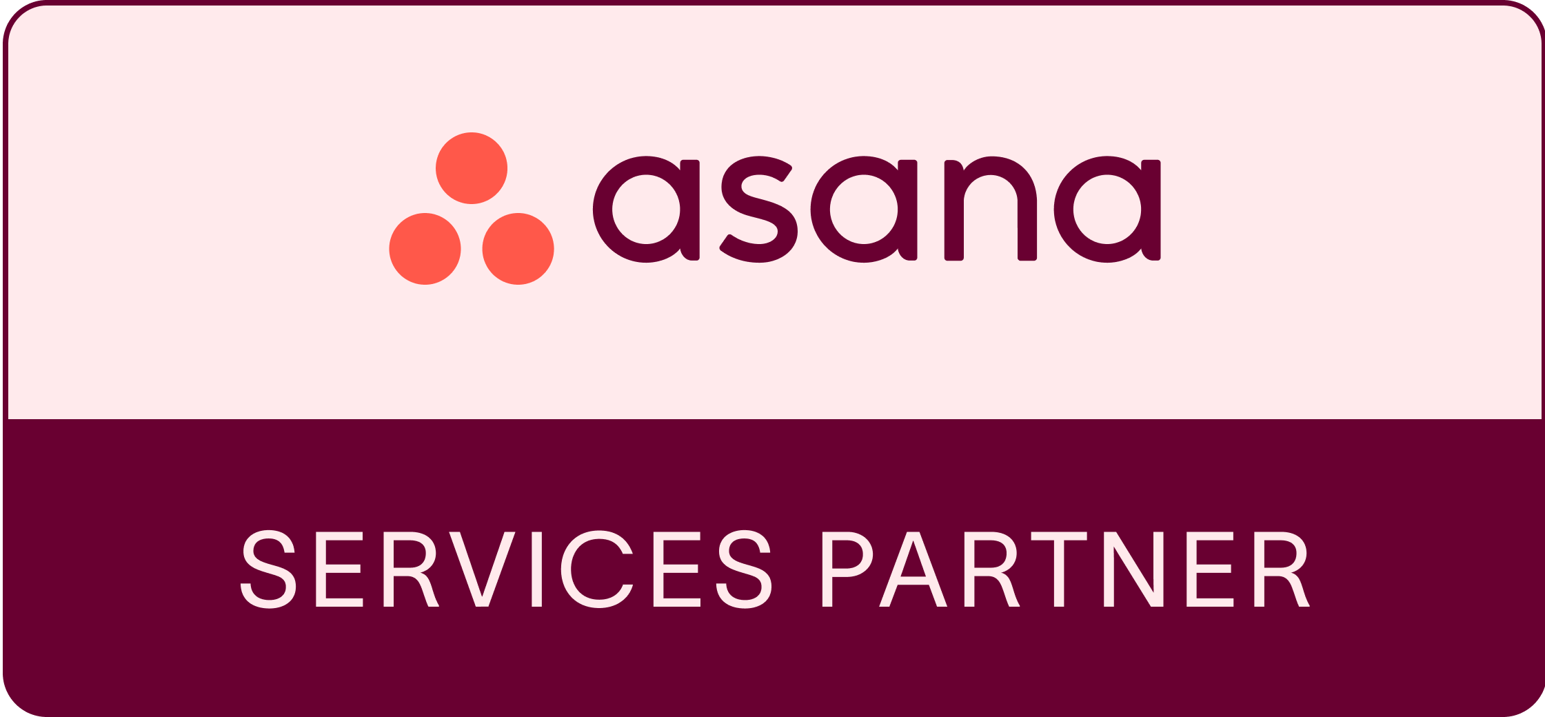 Asana Services Partner